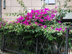 -文昌阁