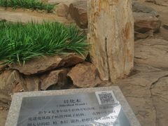 -中国第四纪冰川遗迹陈列馆