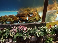 -皇朝尊会(龙之梦大酒店)