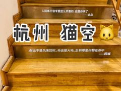 -猫的天空之城概念书店(杭州南宋御街店)