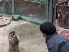 -呀路古热带植物园