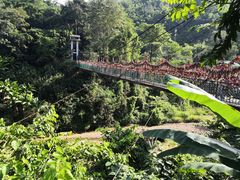 -西双版纳原始森林公园