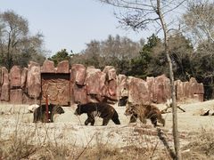-沈阳森林动物园
