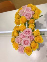 -SILKTONE诗丽堂美容