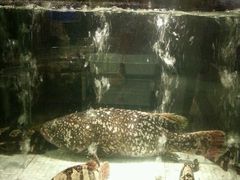 -珍宝轩海鲜火锅(碧湖大厦店)