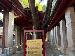 -北京国子监胡同