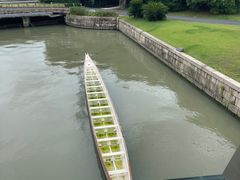 -上海月湖雕塑公园
