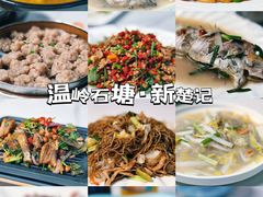 -新楚记