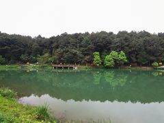 -铁山坪森林公园