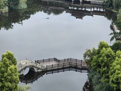 -张坝桂圆林公园