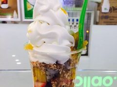 -Salud撒露欧洲冻酸奶(蓝色港湾店)