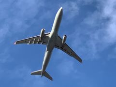 -空港花田景区
