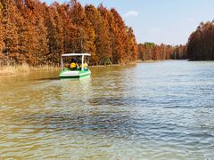 -上海海湾国家森林公园