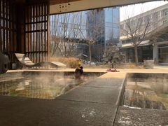 -中家鑫园温泉酒店鑫悦汤泉