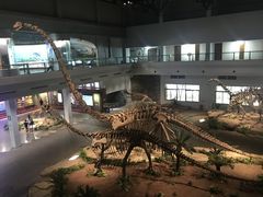 -自贡恐龙博物馆