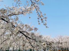 -龙美术馆(西岸馆)