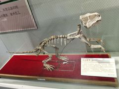 -中国第四纪冰川遗迹陈列馆