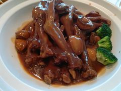 鲍鱼扒鹅掌-张生记(丁香国际店)