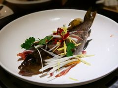 蒸黄鱼-海味当家(西安路店)