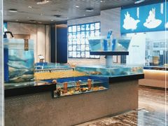 水产区-温州君廷酒店.塞纳宫自助餐厅