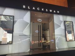 -BLACKSWAN黑天鹅(环球店)