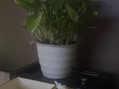 -在水伊方·影院式足道·保健·高端养生SPA(海椒市店)