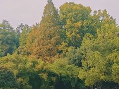 -东湖落雁景区