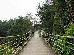 -铁山坪森林公园