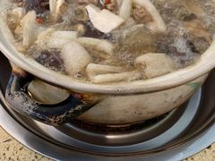-杨记山珍鸡煲菌汤锅