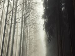 -山王坪喀斯特国家生态公园