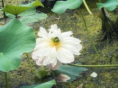 -渭滨公园