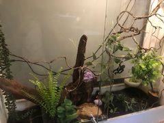 -打趸BTC·Breaktime cafe(北京路店)