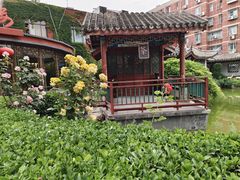 -月坛宾馆-聚仙楼餐厅