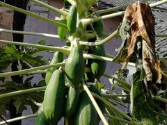 -云水谣景区-土楼之光文化园