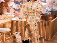 -豆柴町-柴犬主题狗咖(红鼎国际C座店)