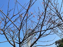 -观澜湖生态运动公社