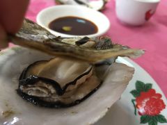 原蒸生态海岛鲜蚝-龙坛美食店