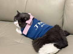 -MOLLY'S萌宠生活馆