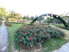 -花溪公园
