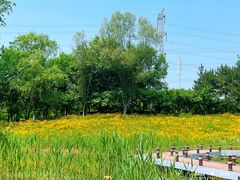 -翠湖国家城市湿地公园