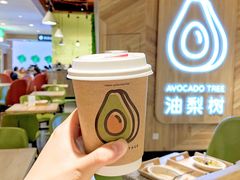 -油梨树AVOCADO TREE(嘉里中心店)