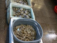 -华威西营里农产品批发市场