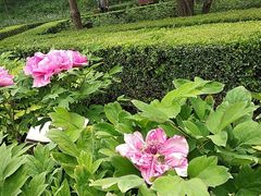 -康庄公园