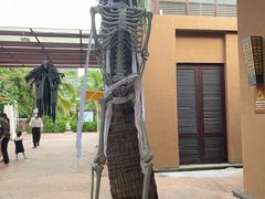 -亚马逊丛林水乐园