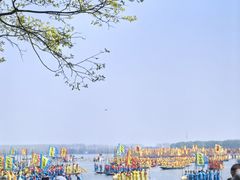 -溱湖国家湿地公园