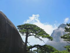 -黄山风景区