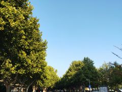 -大连理工大学(凌水校区)