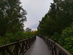 -大亚湾红树林城市湿地公园