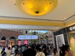 -澳门威尼斯人综合度假区