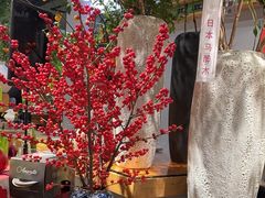 -弗劳尔花艺坊(龙涛店)